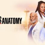 Vanaf 7 januari op Net5: het 21ste seizoen van Grey's Anatomy 21ste seizoen van Grey's Anatomy